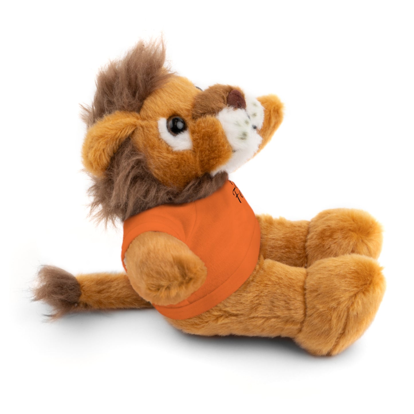 Faith Over Fear Teddy Bear with Tee