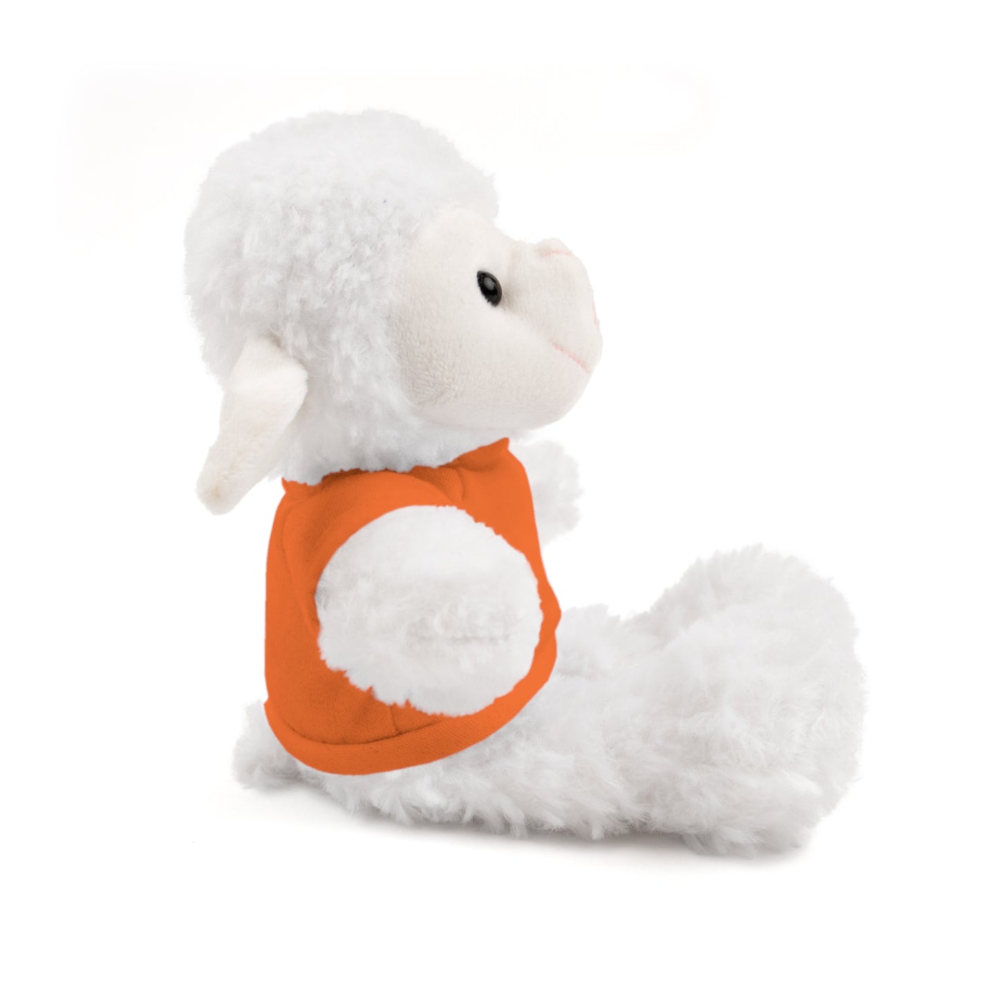 Faith Over Fear Teddy Bear with Tee