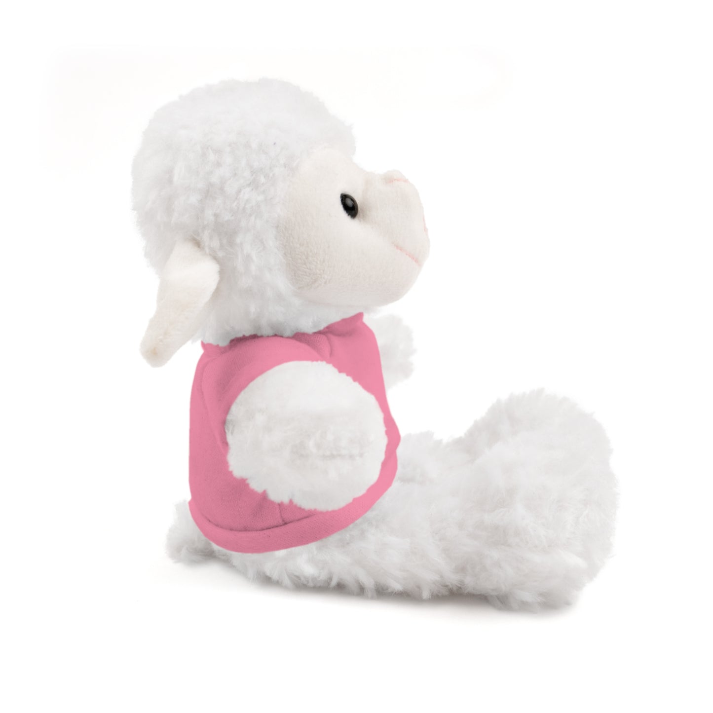 Faith Over Fear Teddy Bear with Tee
