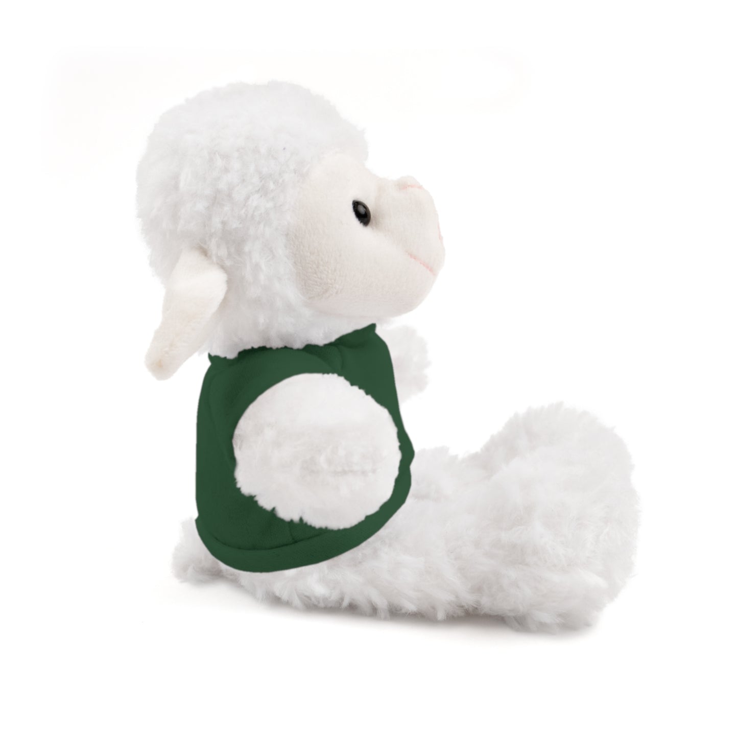 Faith Over Fear Teddy Bear with Tee