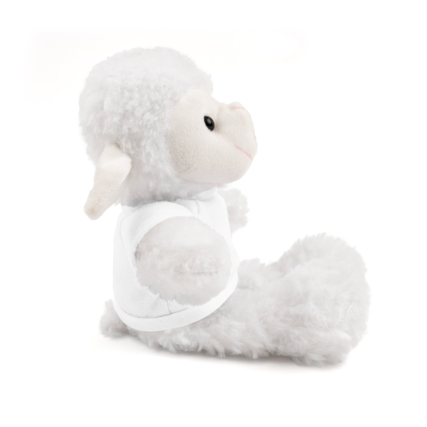 Faith Over Fear Teddy Bear with Tee