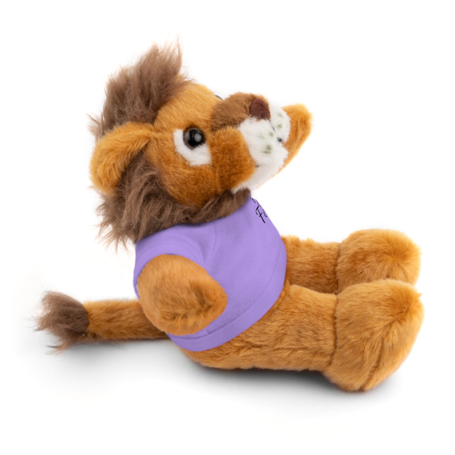 Faith Over Fear Teddy Bear with Tee