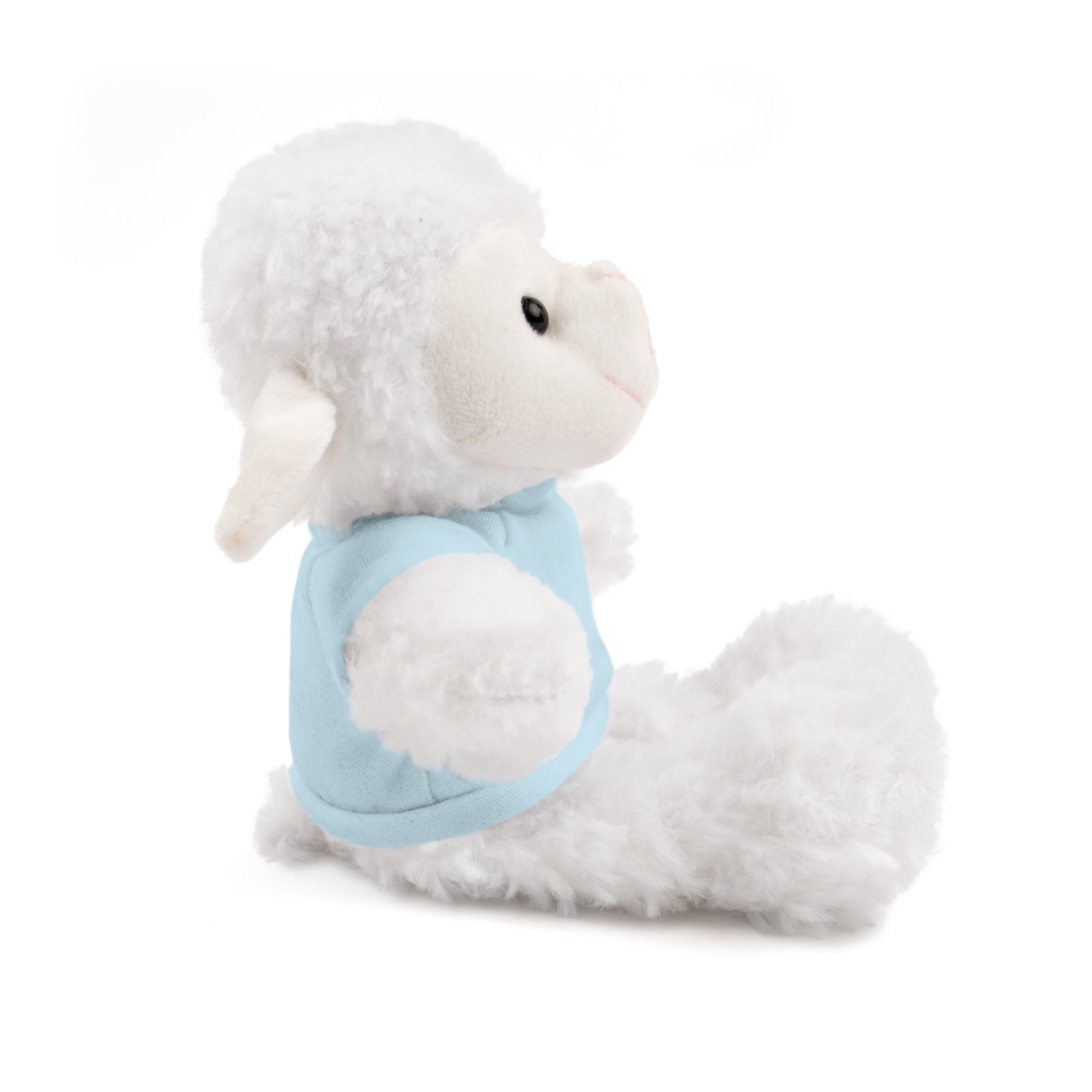 Faith Over Fear Teddy Bear with Tee