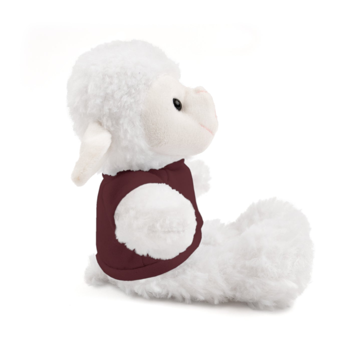 Faith Over Fear Teddy Bear with Tee