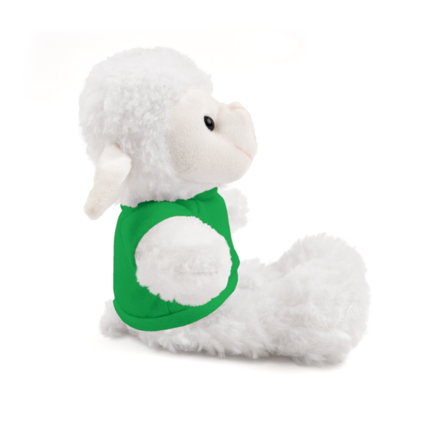 Faith Over Fear Teddy Bear with Tee