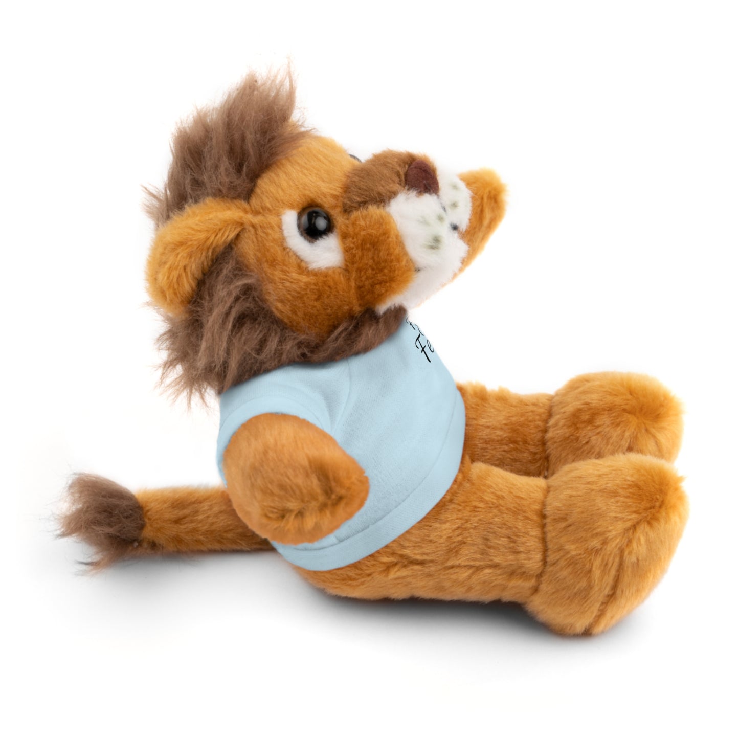 Faith Over Fear Teddy Bear with Tee