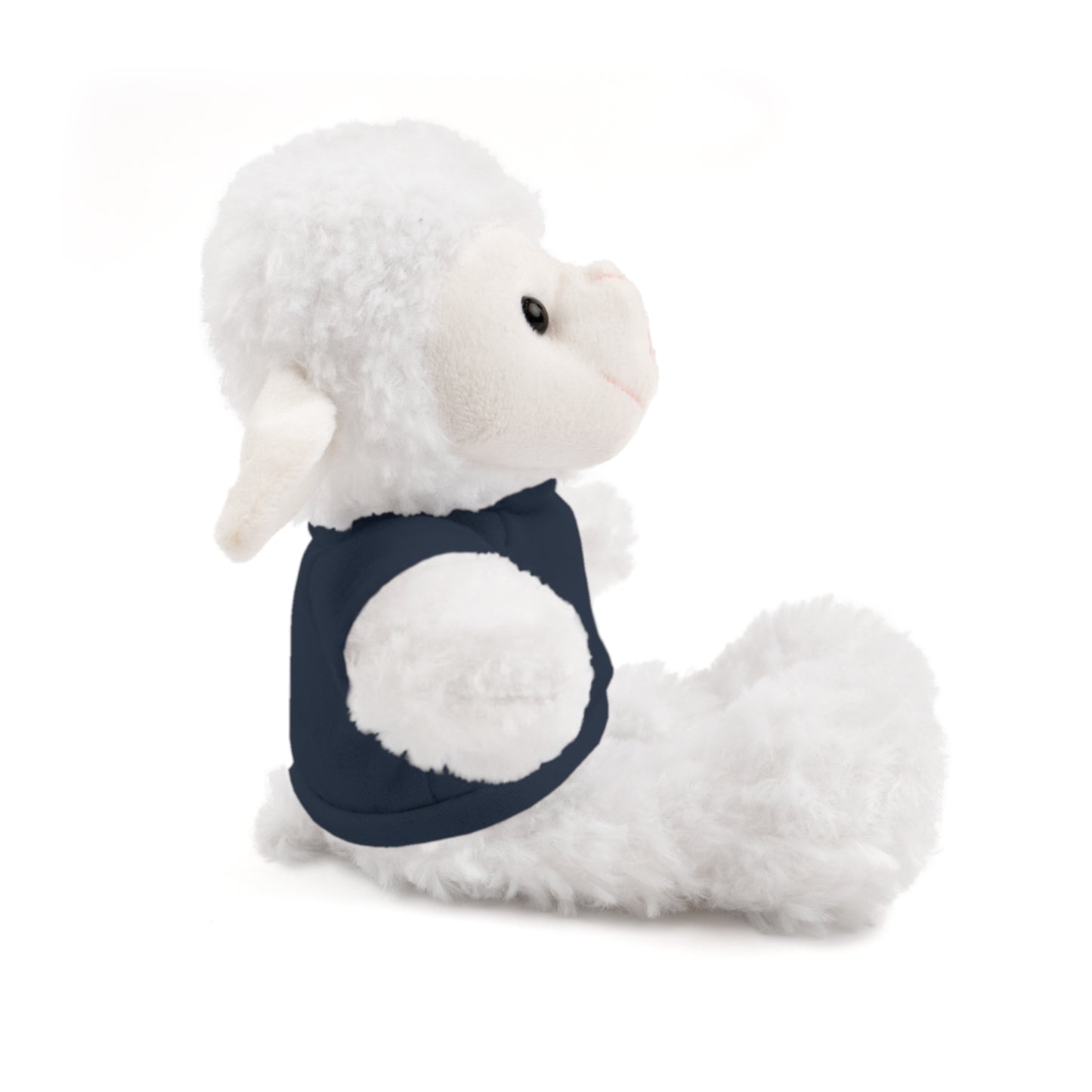Faith Over Fear Teddy Bear with Tee