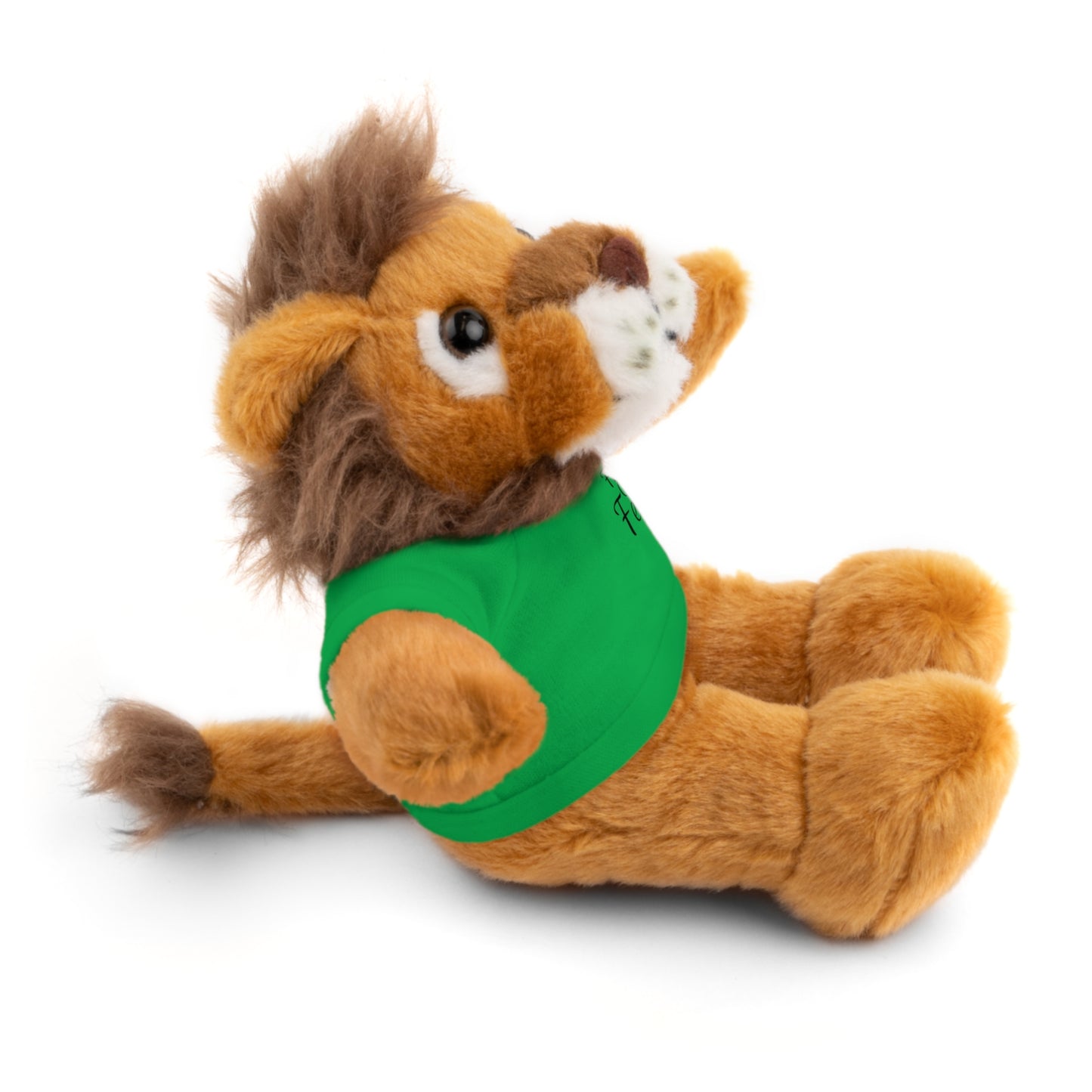 Faith Over Fear Teddy Bear with Tee