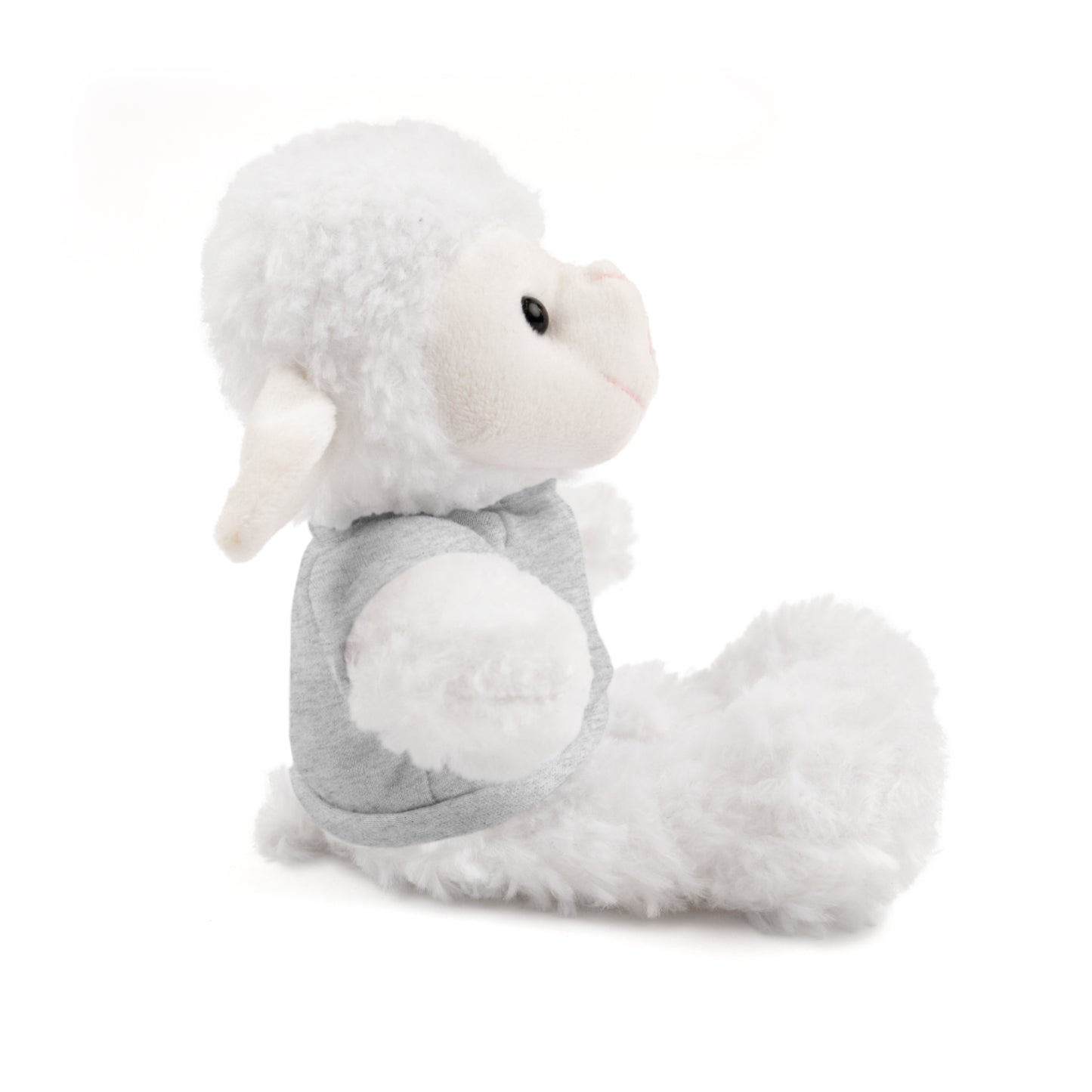 Faith Over Fear Teddy Bear with Tee