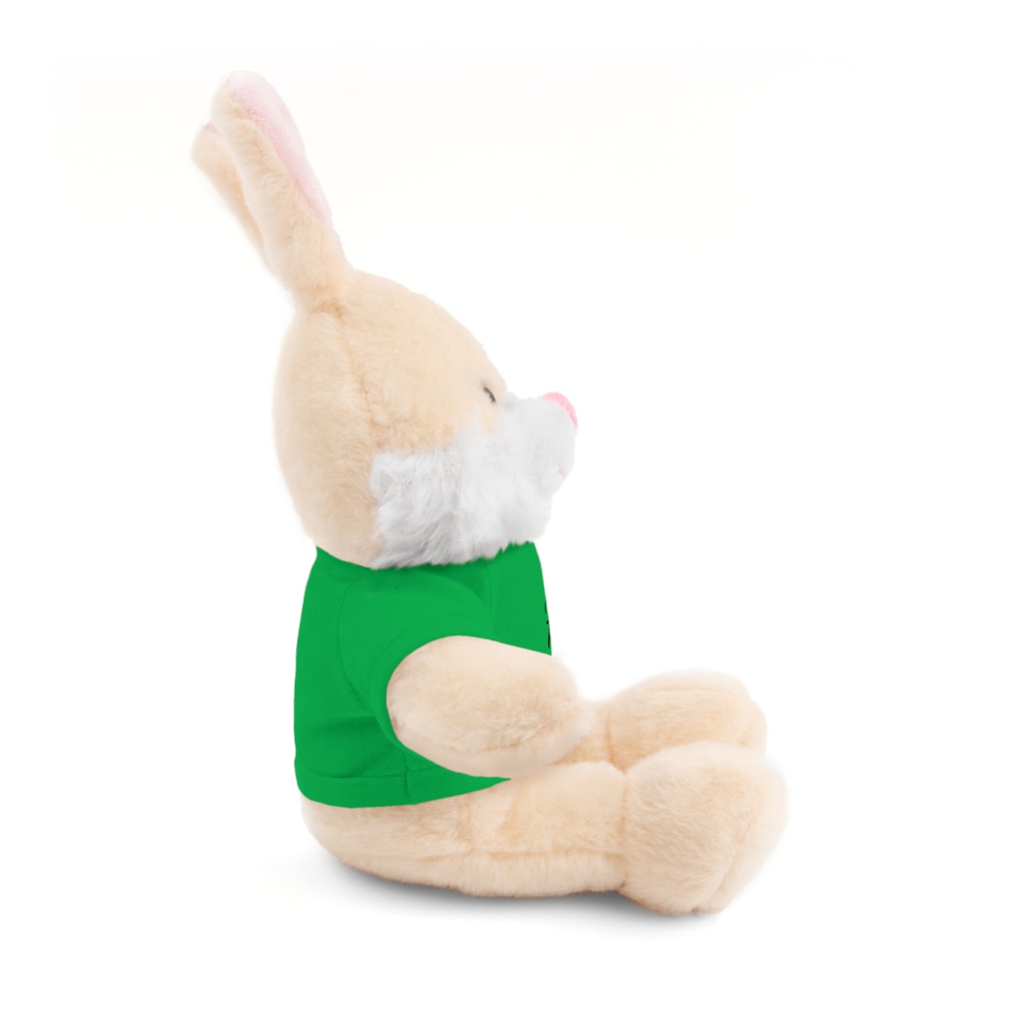 Faith Over Fear Teddy Bear with Tee