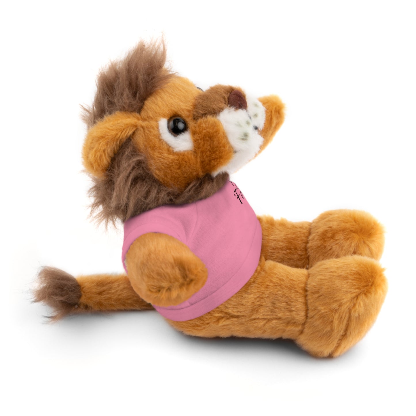 Faith Over Fear Teddy Bear with Tee