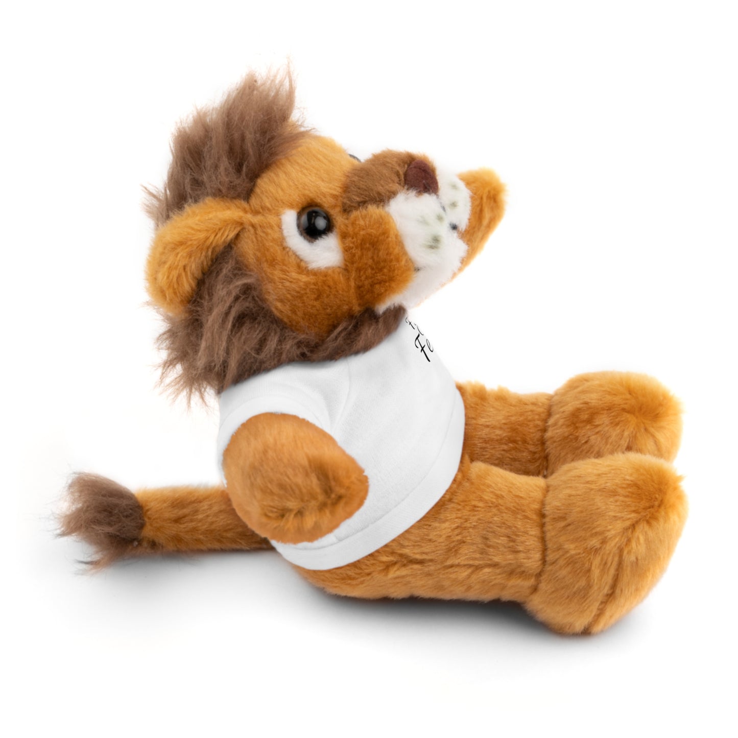Faith Over Fear Teddy Bear with Tee