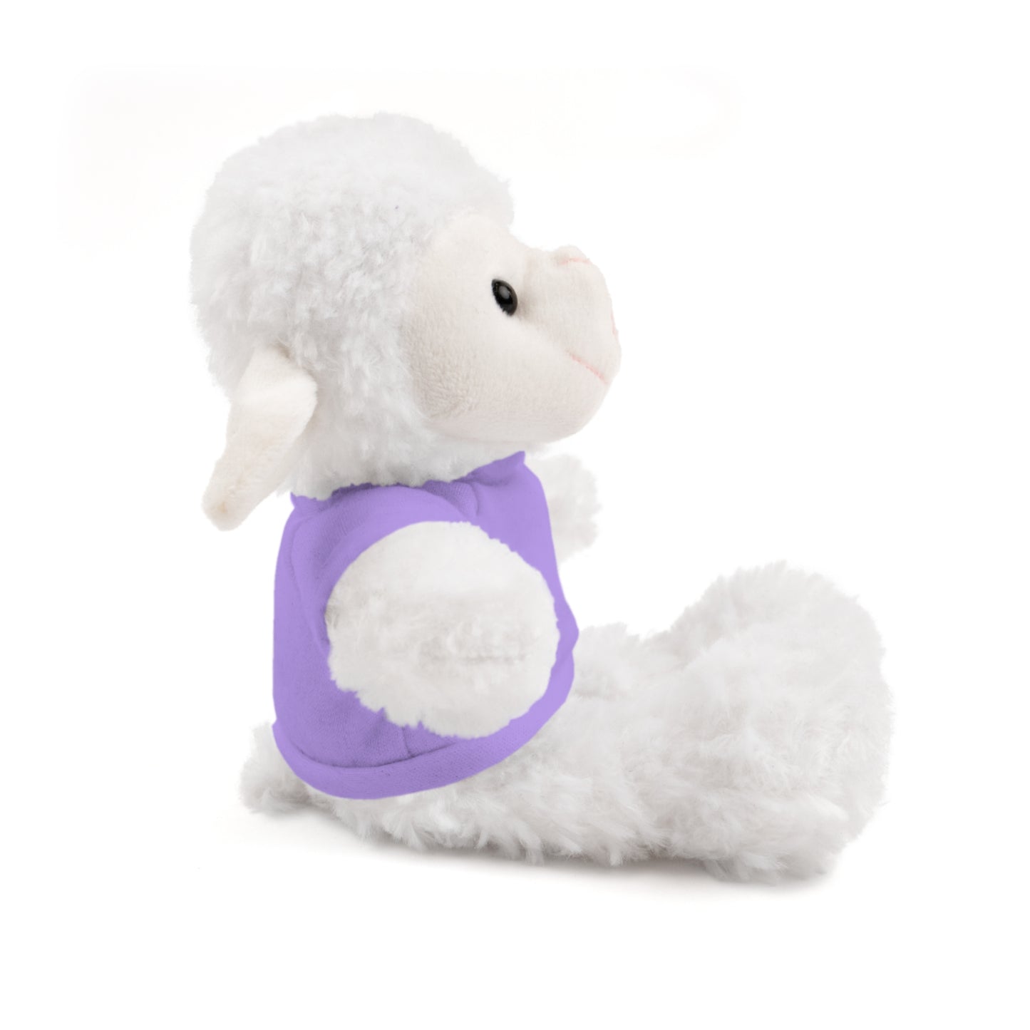 Faith Over Fear Teddy Bear with Tee