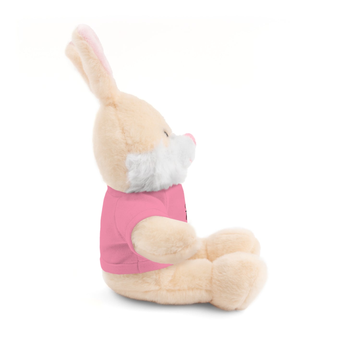 Faith Over Fear Teddy Bear with Tee