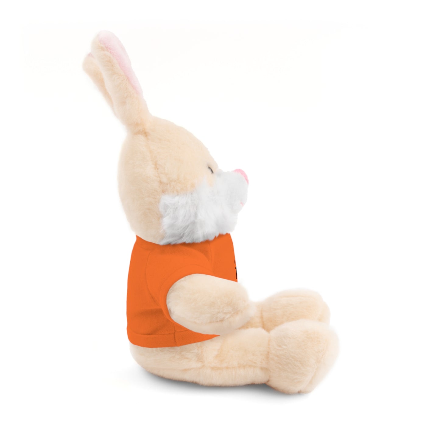 Faith Over Fear Teddy Bear with Tee